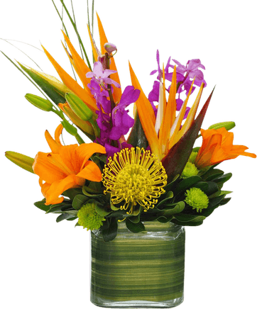 Tropical Flower PNG