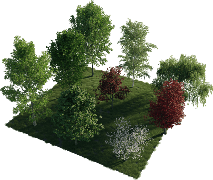 Tree Blender PNG