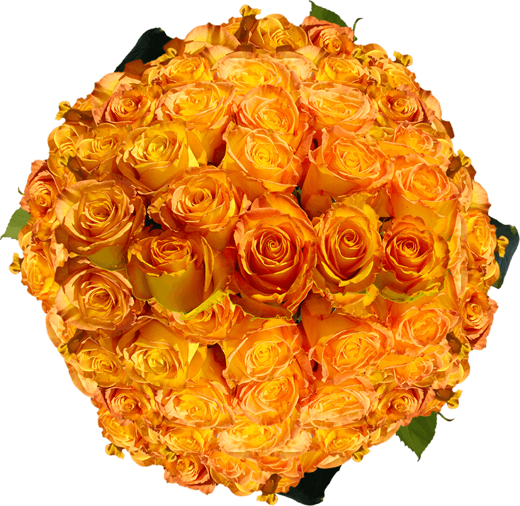 Rose Yellow PNG