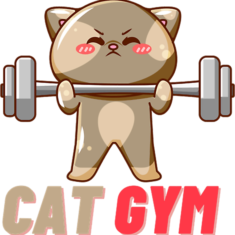 Gym Cat PNG