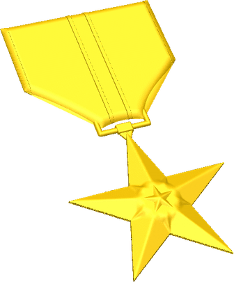 Bronze Star PNG