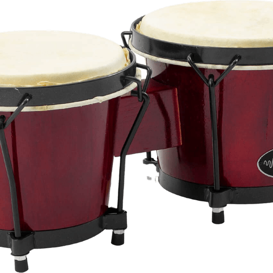 Bongo PNG
