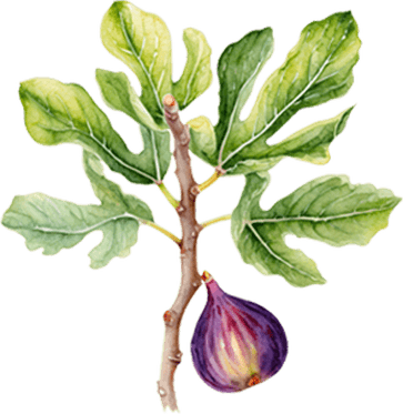 Ironwood Tree PNG