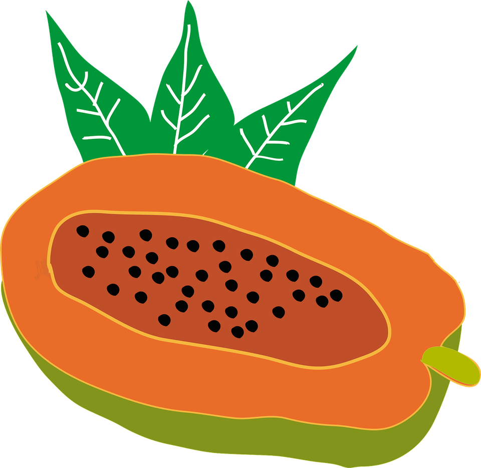 Papaya PNG