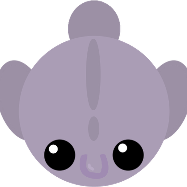 Blob Fish PNG