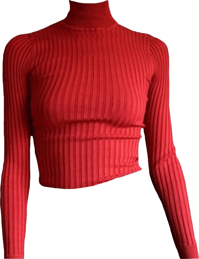 Turtle Neck Shirt PNG