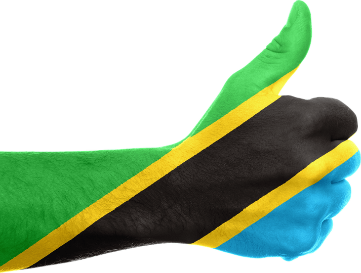 Tanzania Flag PNG