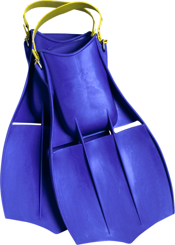 Flipper PNG