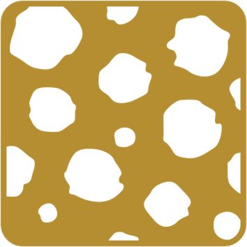 Cheetah Circle PNG