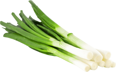 Spring Onions PNG