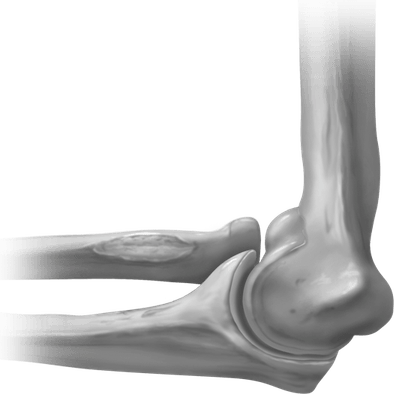 Elbow PNG
