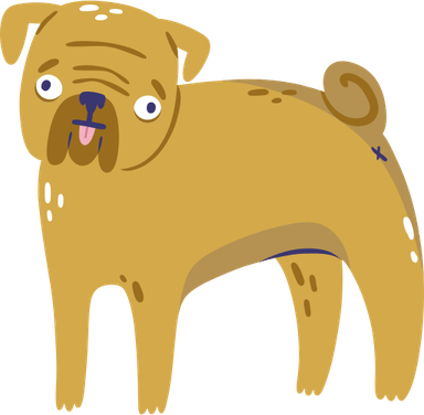 Pug PNG