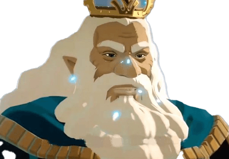 King Of Hyrule PNG