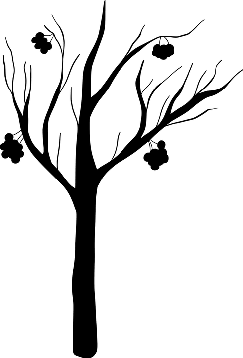 Winter Tree PNG