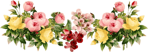 Shubh Vivah Flower Border PNG