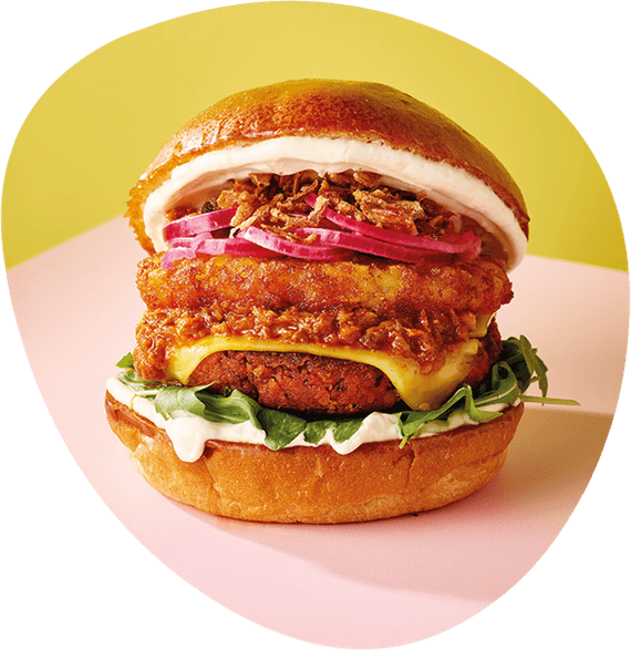 Healthy Burger PNG