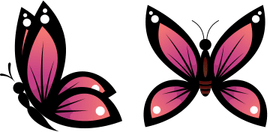 Butterfly Logo PNG