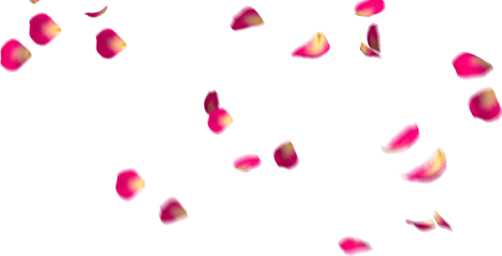 Falling Rose PNG