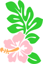 Hawaii Flower PNG