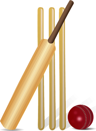 Wicket PNG