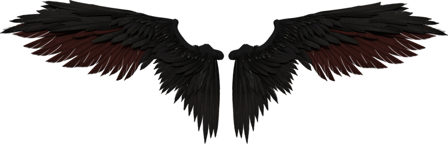 Angel Wings PNG