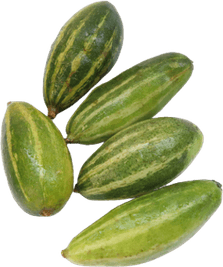 Pointed Gourd PNG