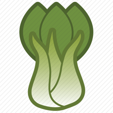 Bok Choy PNG