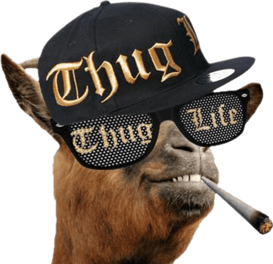 Thug Life Sunglasses PNG
