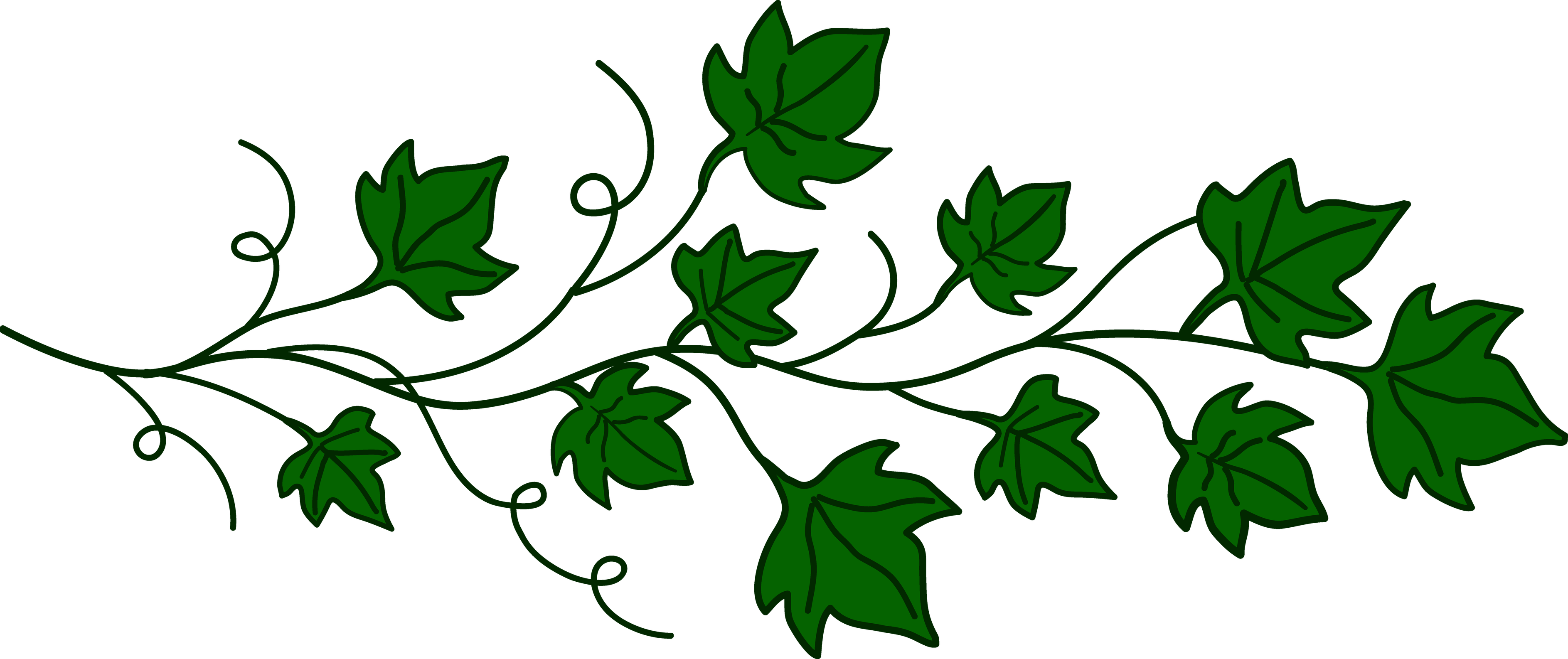 Vines PNG