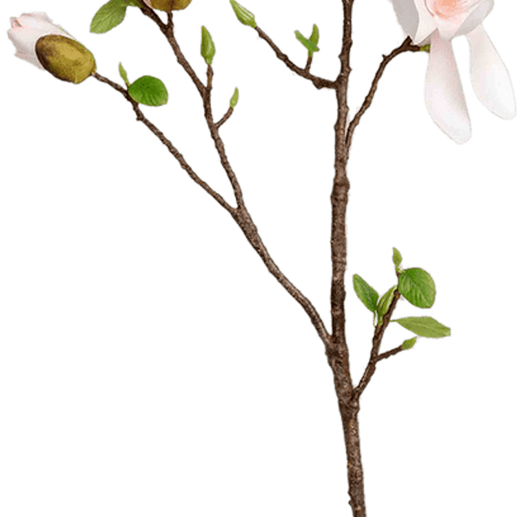Aesthetic Green Flower PNG