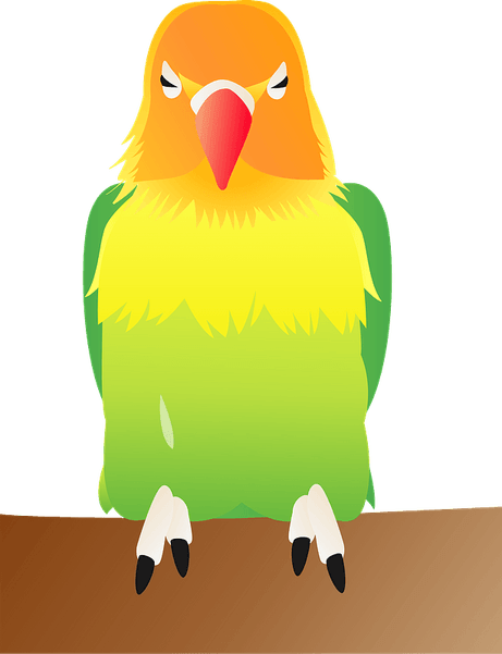 The Lovebirds PNG
