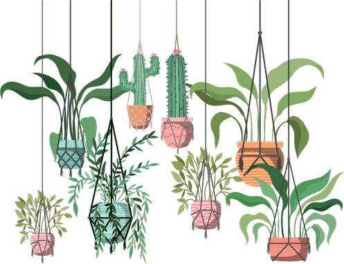 Plant Mom Aesthetics Theme PNG