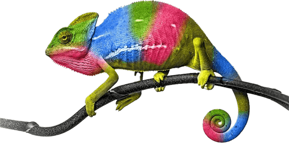Chameleon PNG