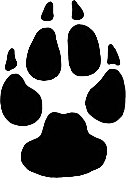 Animal Footprints PNG