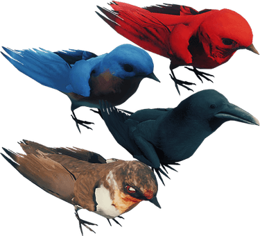 Forest Bird PNG