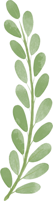 Watercolor Leaves PNG