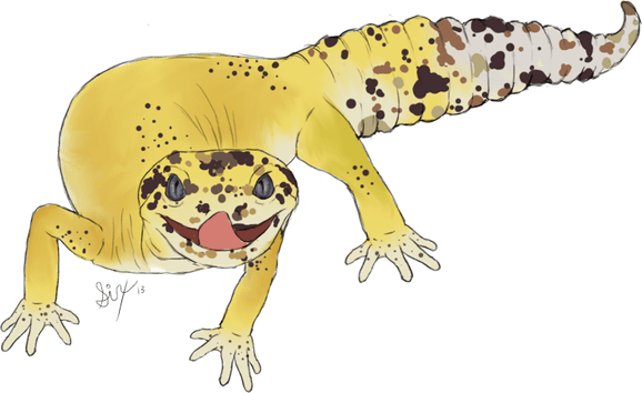 Leopard Lizards PNG