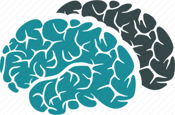 Neuro Brain PNG