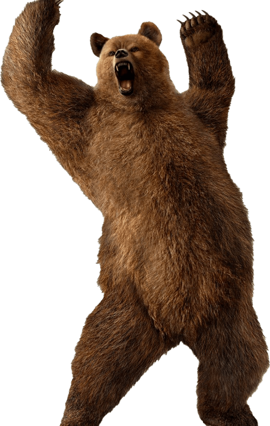 Tekken Bear PNG