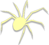 Black Widow Spiders PNG
