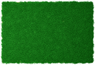 Top View Grass PNG