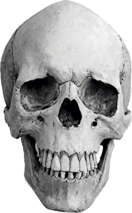 Spinning Skull PNG