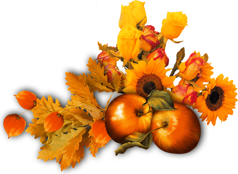 Fall Flower PNG