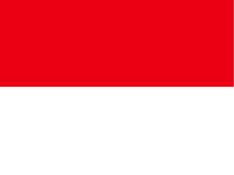 Indonesia Flag PNG