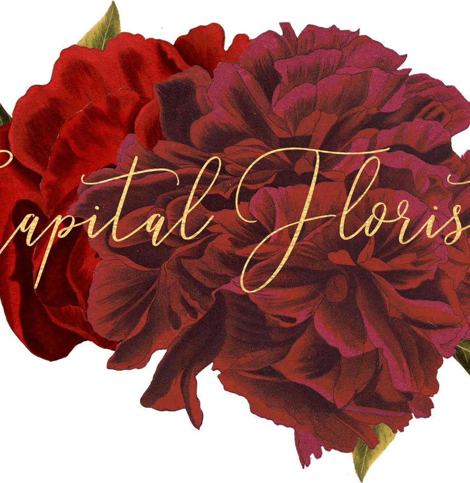 Florist PNG
