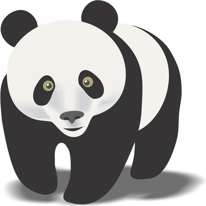 Giant Panda PNG