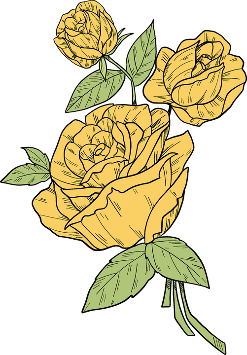 Rose Yellow PNG