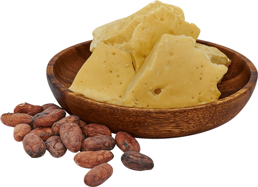 Cocoa Beans PNG