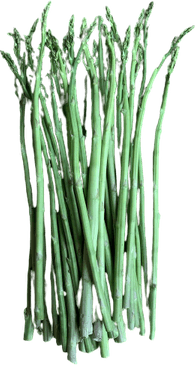 Asparagus PNG