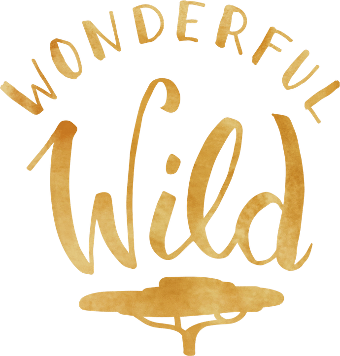 Wonderful PNG